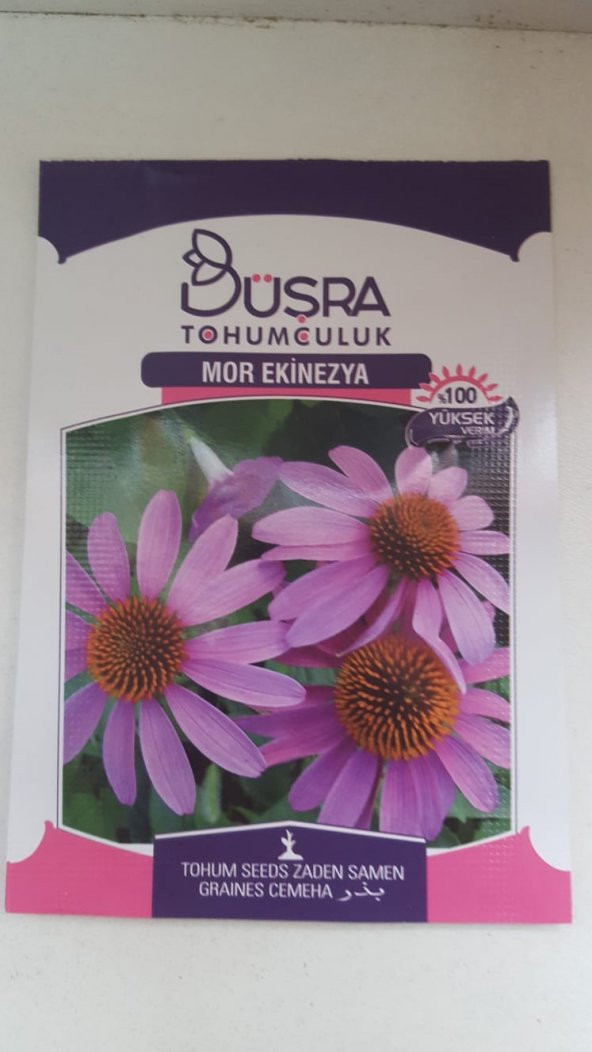 BÜŞRA MOR EKİNEZYA    TOHUMU  100 YÜKSEK VERİMLİDİR.