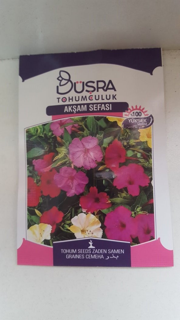 BÜŞRA AKŞAM SEFASI ÇİÇEK TOHUMU  100 YÜKSEK VERİMLİDİR.