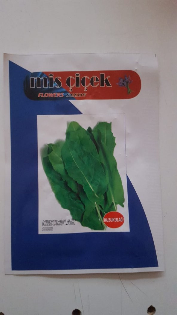 Mis Çiçek Pazı Tohumu Sebze Tohumlarımız Taze Ve 100 Yüksek Verimlidir.