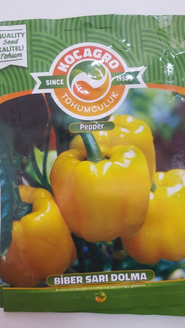 KOÇAĞRO BİBER SARI DOLMA Tohumu 1 Paket 100 Yüksek Verimlidir. - 1