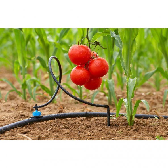 İgsaş Nitrik Asit Kireç Damla Sulama Borusu Açıcı Sıvı Gübre 25 KG - 3