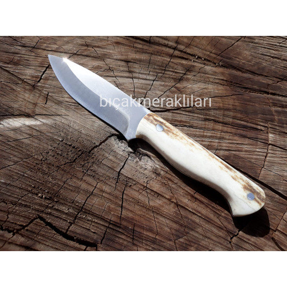 Küçük Geyik Boynuzu Bıçak 14,5cm Toplam Uzunluk 2,5mm - 4