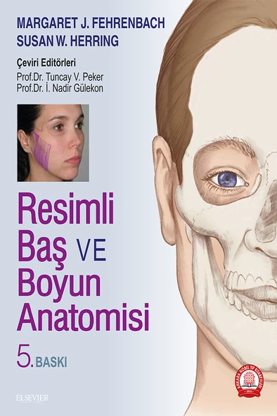 Resimli Baş ve Boyun Anatomisi