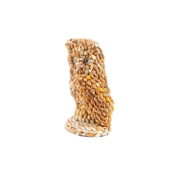 Nassa Kabuklu Baykuş Biblo Doğal Deniz Kabukları - Resim 2