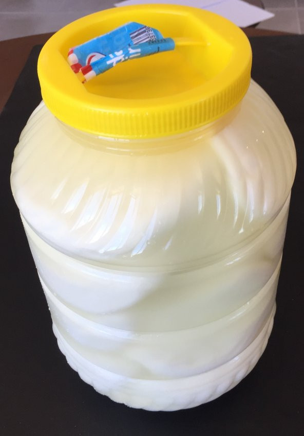 Lavaş Peyniri 1 KG - 2