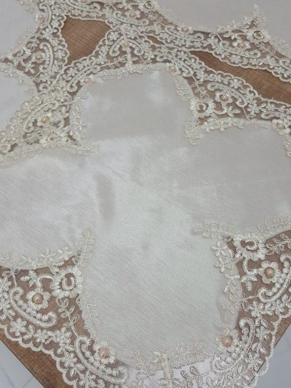 Finezza Violetta Lüx Güpürlü Osmanlı İpeği Kumaş Bej Salon Takımı 5 parça - 1038 - Resim 3