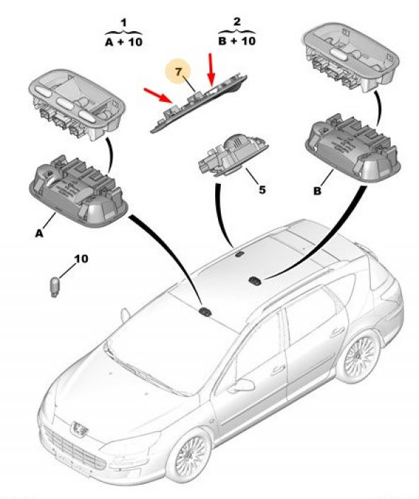 ARKA TAVAN LAMBA TUTUCUSU