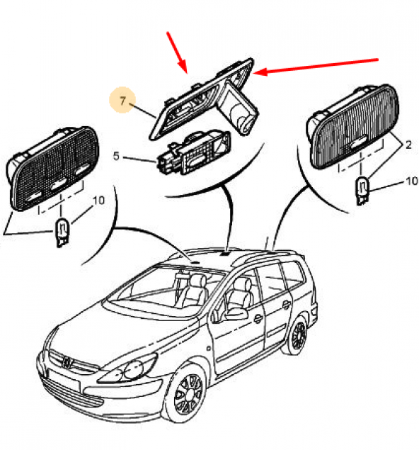 ARKA TAVAN LAMBA TUTUCUSU - 2
