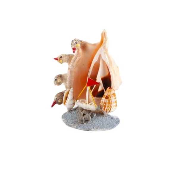 Dekoratif Doğal Deniz Kabuğu Lambis Biblo Kuş ve Yelken Temalı Biblo ürün görseli 1