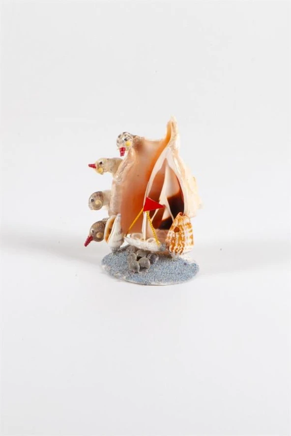 Dekoratif Doğal Deniz Kabuğu Lambis Biblo Kuş ve Yelken Temalı Biblo - Resim 3