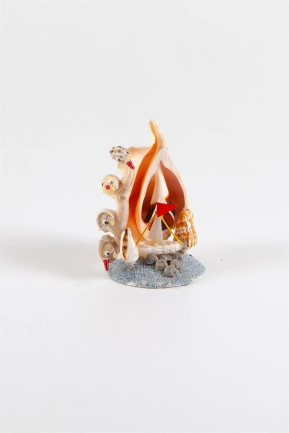 Dekoratif Doğal Deniz Kabuğu Lambis Biblo Kuş ve Yelken Temalı Biblo - Resim 4