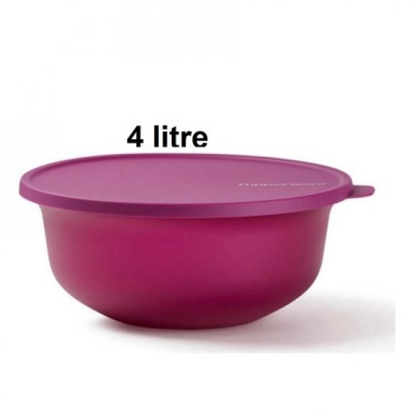 Tupperware Aloha Saklama Kabı 4 Litre - 4