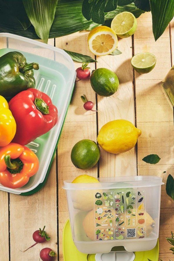 Sera Serisi Sebze Meyve Saklama Kabı 4.4 Lt - Resim 4