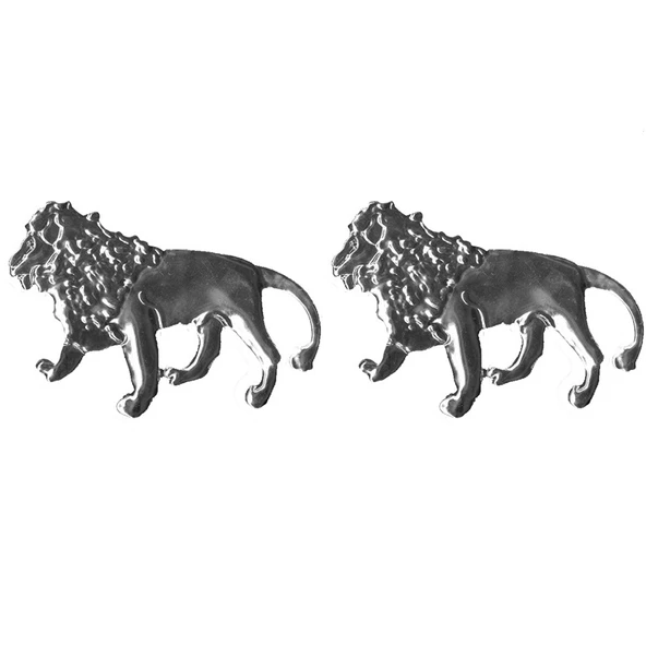 Space Aslan Logosu ürün görseli 1