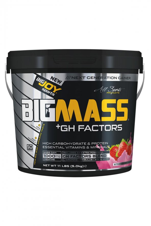 Bigjoy Sports Bıgmass Gainer Gh Factors 5000 gr Çilekli Gainer