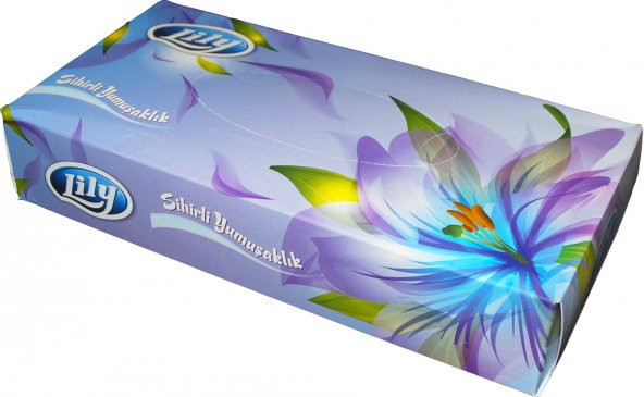 Lily Kutu Mendil 80 Yaprak x 5 Paket - 2