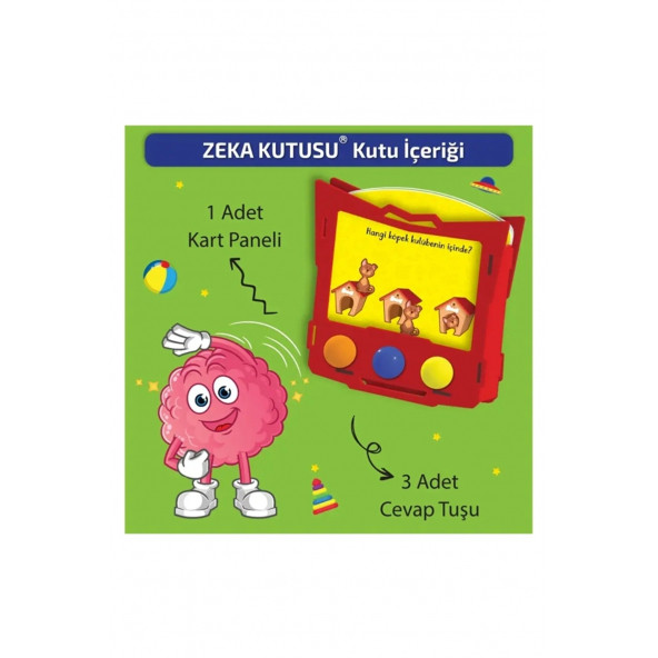 16-24 Ay Zeka Kutusu - 4