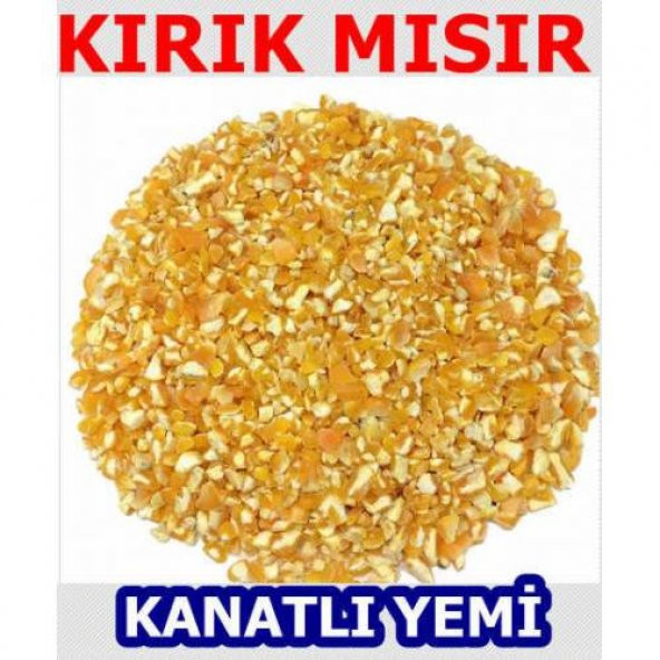 Özlem Mısır Darı 50 kg - 1