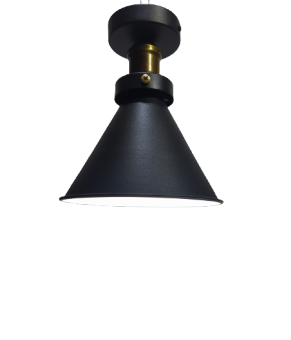 MYLİGHTS  RETRO  PLOONYER TAVAN RUSTİK AVİZE SİYAH  İÇİ BEYAZ  18 CM EN ürün görseli