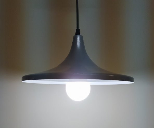 MYLİGHTS  RETRO RUSTİK  GRİ  İÇİ BEYAZ METAL SARKIT AVİZE - Resim 2