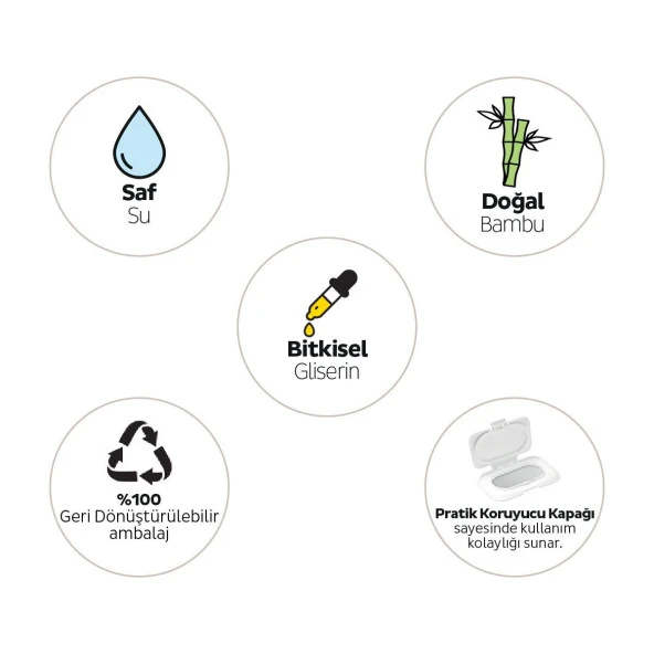 Sleepy Petcare Evcil Hayvan Islak Havlusu 12X60 Yaprak - 4