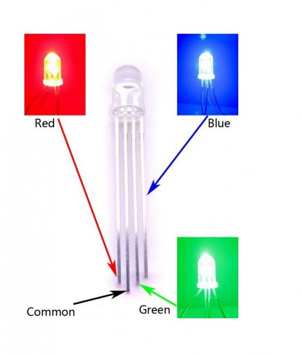 RGB Led 5mm Ortak Katot - 2