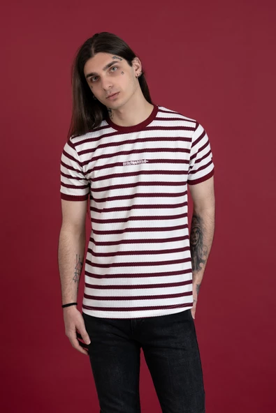 SLİMFİT ÇİZGİLİ SIFIR YAKA ERKEK PENYE T-SHİRT - 3