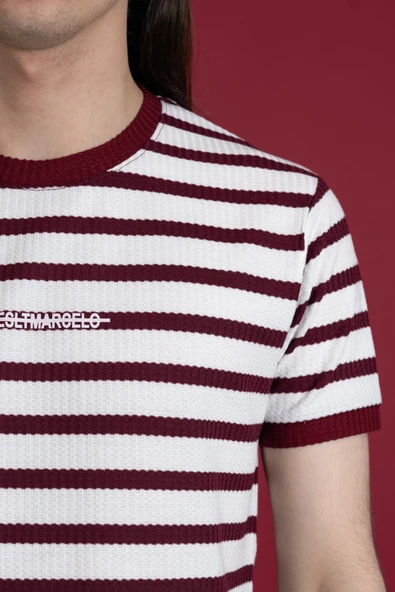 SLİMFİT ÇİZGİLİ SIFIR YAKA ERKEK PENYE T-SHİRT - 5