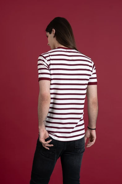 SLİMFİT ÇİZGİLİ SIFIR YAKA ERKEK PENYE T-SHİRT - 4