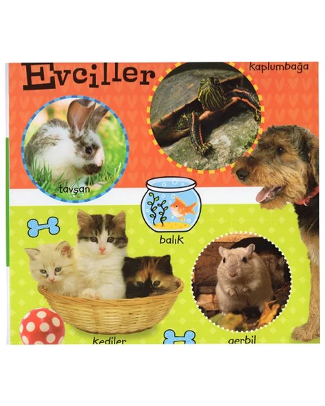 İlk 100 Hayvan Dizisi Çiçek Yayınları - Resim 2