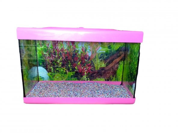 Girist Pet Renkli Büyük Akvaryum 50 cm Pembe - 2