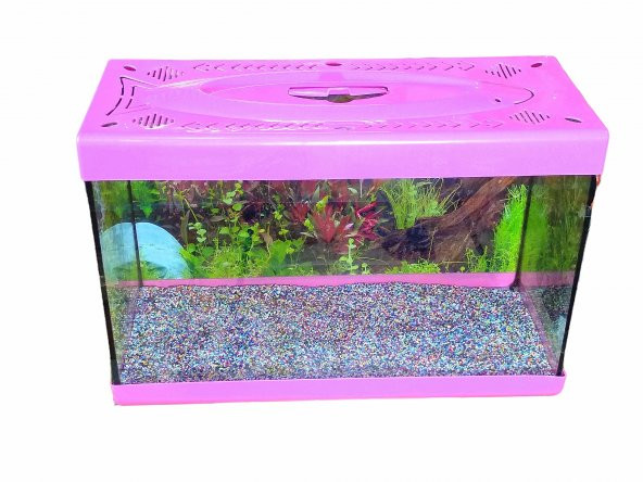 Girist Pet Renkli Büyük Akvaryum 50 cm Pembe - 3