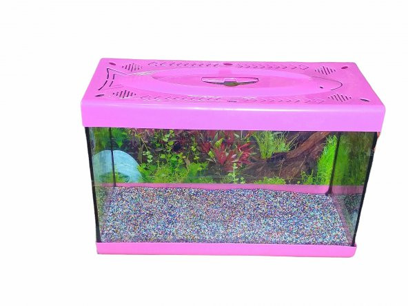 Girist Pet Renkli Büyük Akvaryum 50 cm Pembe - 4