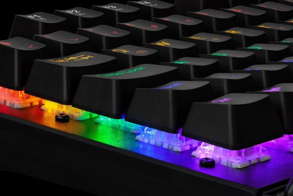 NOVATOR G505/10 KLAVYE BLUE SWITCH OYUN MEKANİK RGB - 3