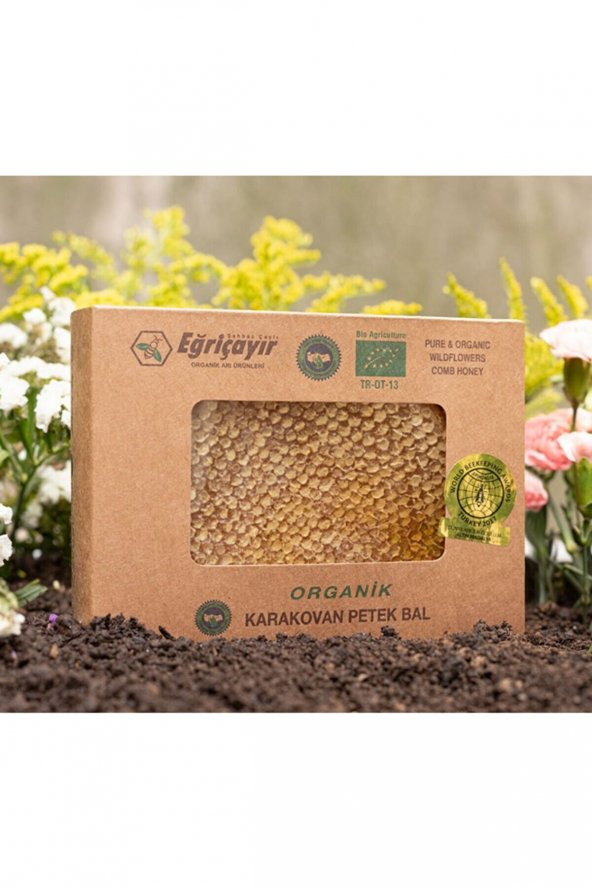 Eğriçayır Organik Karakovan Petek Balı 400g