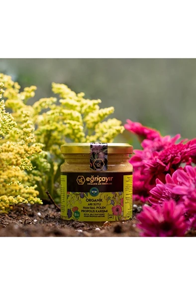 Organik Arı Sütü Bal Polen Propolis Karışımı 240 gr ürün görseli