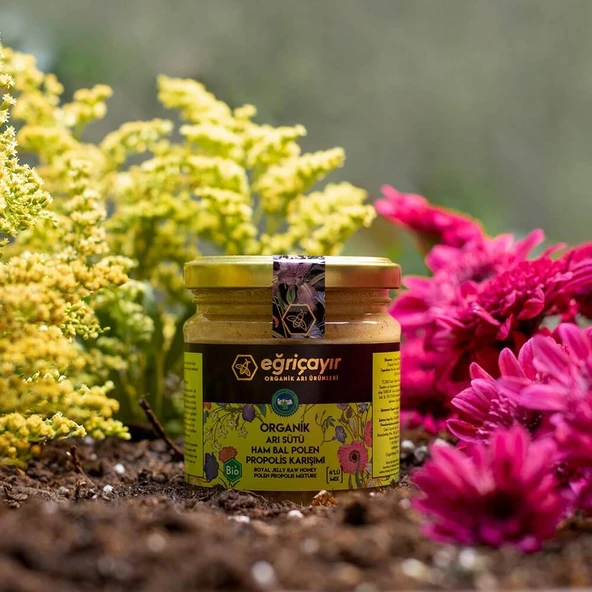 Organik Arısütü Bal Polen Propolis Özel Karışım 240 gr ürün görseli