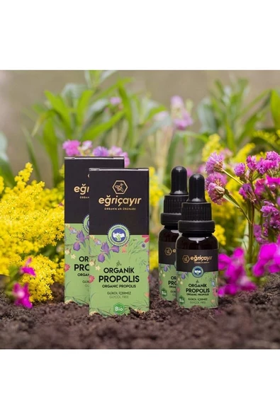 Organik Alkol Bazlı Propolis Damla 2 x 20 ml ürün görseli