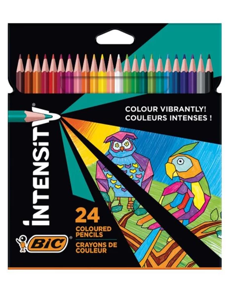 Bic İntensity Kuru Boya Kalemi 24 Renk