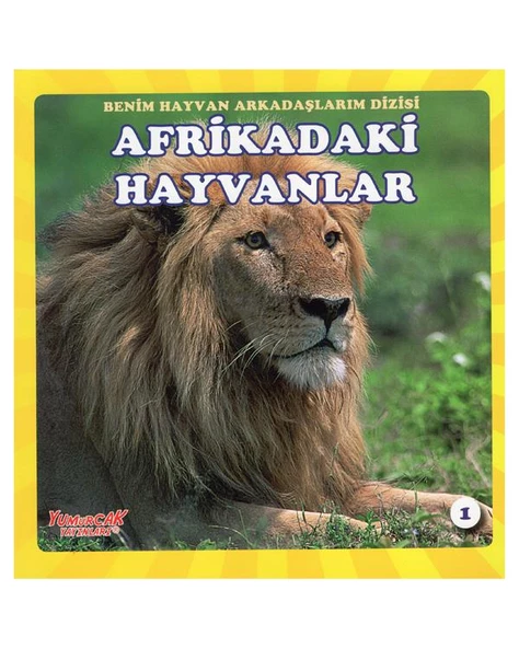 Benim Hayvan Arkadaşlarım Dizisi 4lü Kitap Seti Yumurcak Yayınları - Resim 3