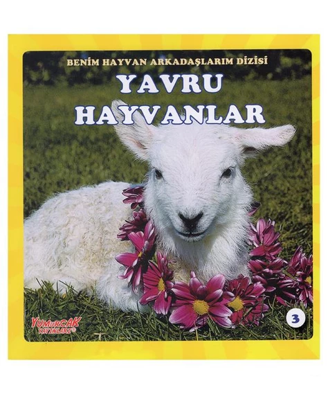Benim Hayvan Arkadaşlarım Dizisi 4lü Kitap Seti Yumurcak Yayınları - Resim 4