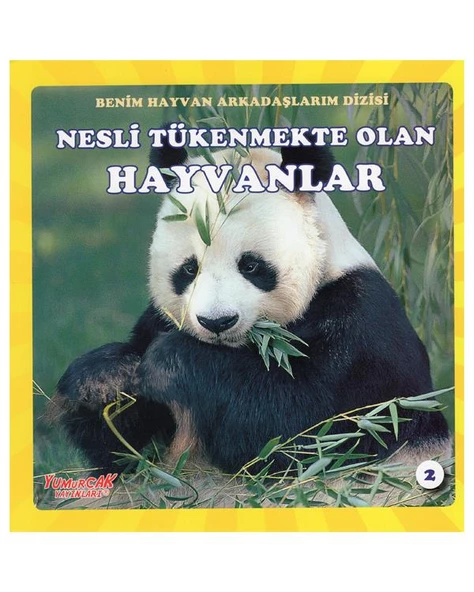 Benim Hayvan Arkadaşlarım Dizisi 4lü Kitap Seti Yumurcak Yayınları - Resim 2