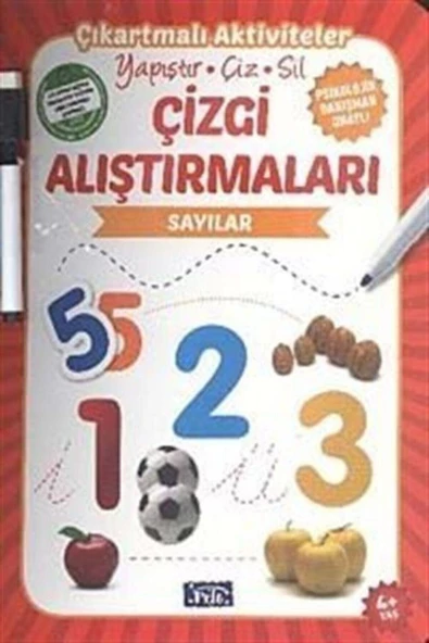 Sayılar / Çizgi Alıştırmaları