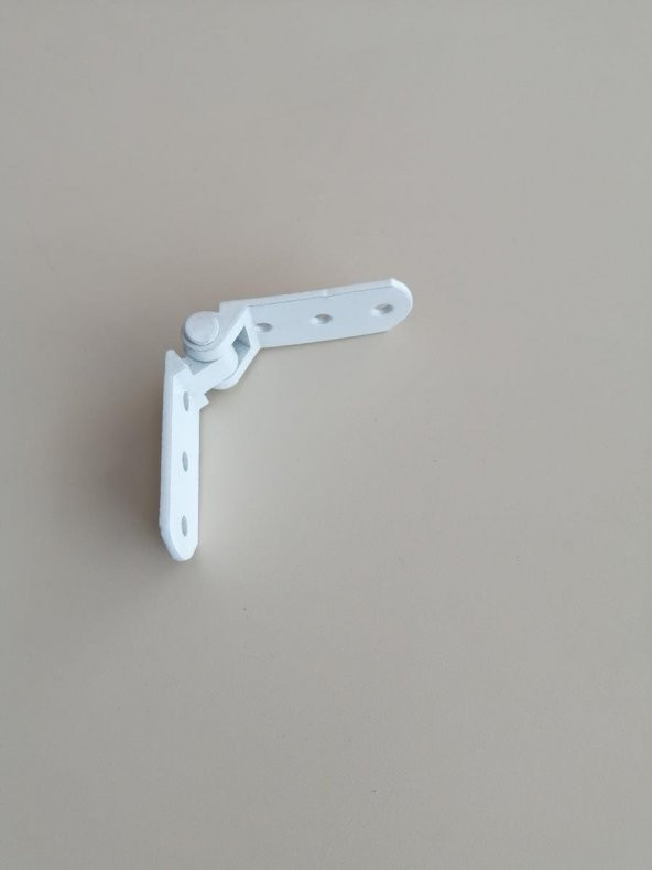 BEYAZ PANJUR MENTEŞESİ - 2