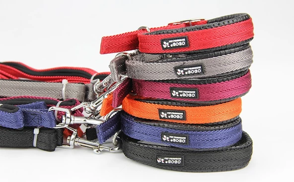 Bobo Balık Sırtı Köpek Boyun ve Gezdirme Tasması 1.5x120 cm - 2