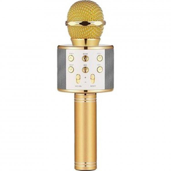 Winex UsbA+TF Sd Kart+3.5mm Aux Girişli Bluetooth Karaoke Mikrofonu Gold
