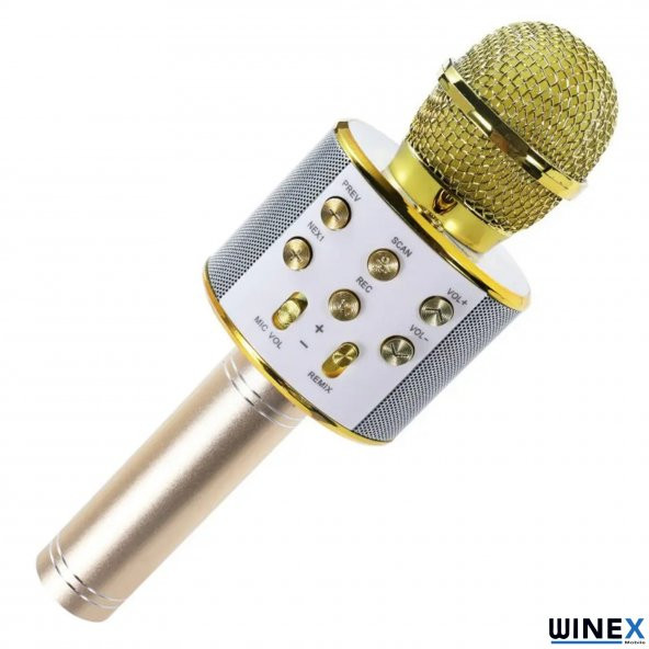 Winex UsbA+TF Sd Kart+3.5mm Aux Girişli Bluetooth Karaoke Mikrofonu Gold - 2