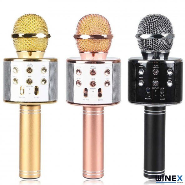 Winex UsbA+TF Sd Kart+3.5mm Aux Girişli Bluetooth Karaoke Mikrofonu Gold - 3