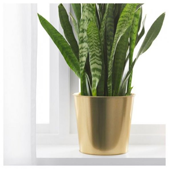 Galvanizli Çelik Gold Saksı 19 Cm Çiçek Bitki Saksısı Gold Renk 19Cm IKEA - 4