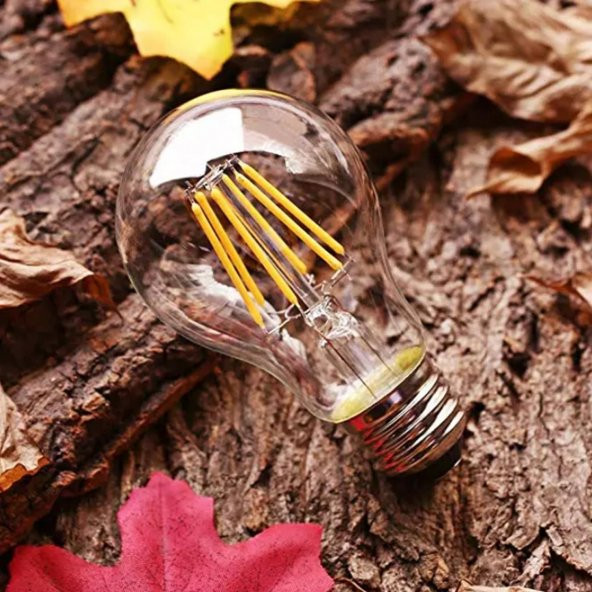 Bix SL-04 6W Daylight A+ Uzaktan Kontrol ve Zaman Ayarlı Akıllı Ampul - 4